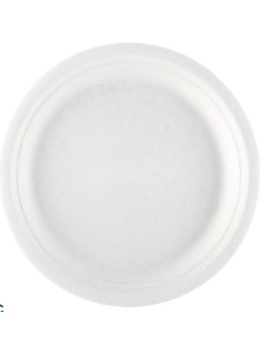 PLATO CAÑA AZÚCAR BLANCO 22 CM 500 UD